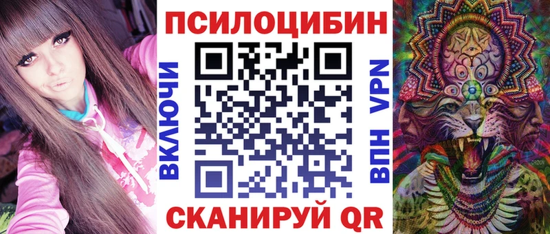 Псилоцибиновые грибы ЛСД где купить наркоту Тогучин